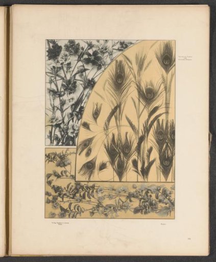 Panels with cornflowers, carnations, and peacock feathers