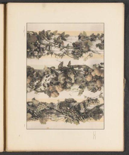 Grapevines with fruit and hops