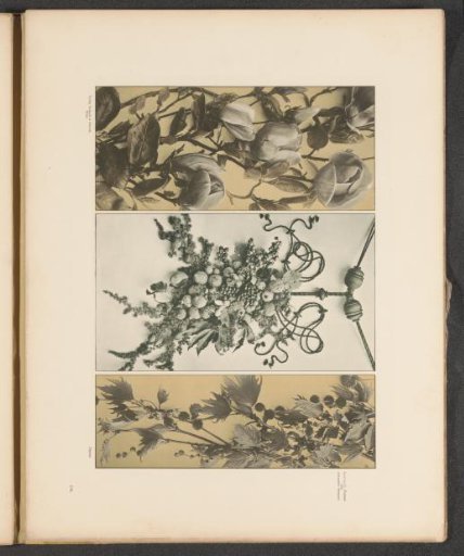 Three panels with tulips, plane trees, and a festoon with fruit