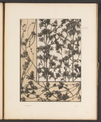 Panels with maple shoots and hazelnut shoots