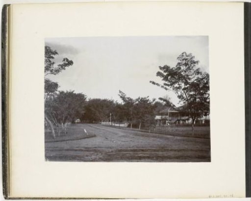 View of Sennah Allee, Tandjong Poera, Sumatra (Sennah Allee Tandjong Poera)