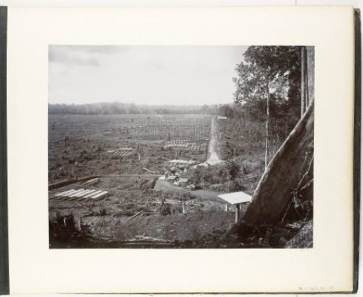 View of the seedbeds of a plantation at Soekaranda, Sumatra (Seedbeds Soekaranda)