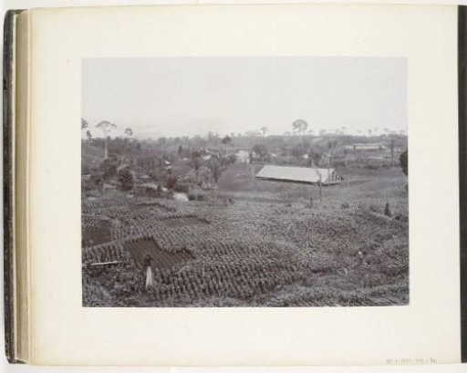 View of the Gambir Estate