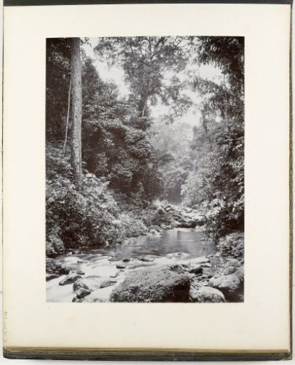 View along the Belawan River, Roemah Kinangkang, Sumatra (Belawan River, Roemah Kinangkang)