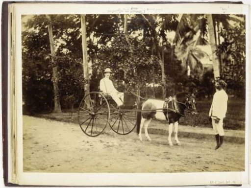 Portrait of Mr. Riak in a carriage with pony and servant Sais, Langkat Sumatra