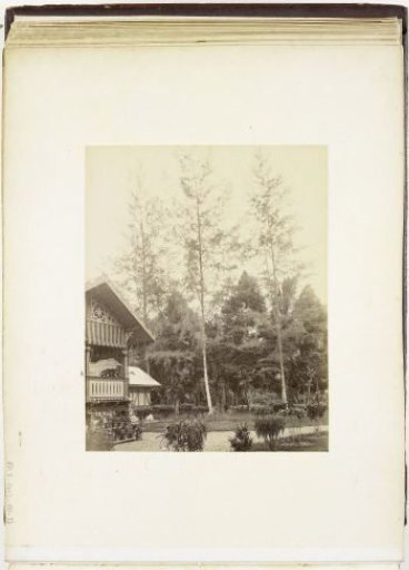 View of a house with garden and tall trees, Langkat Sumatra