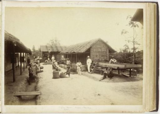 On the coffee plantation Glen Bervie (G.B), Langkat Sumatra