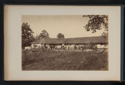 Group photograph of contract laborers and overseers at the Bindjai Plantation, Sumatra
