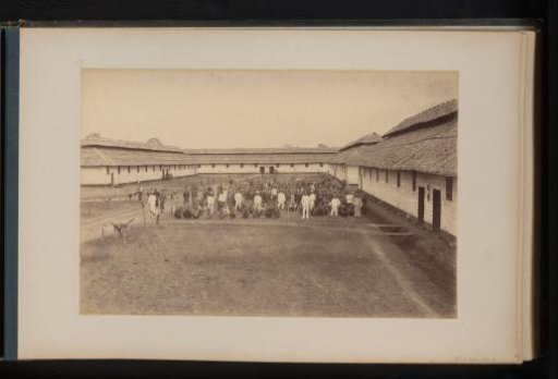 Group of contract laborers with overseers in a courtyard at the Bindjai Estate, Sumatra
