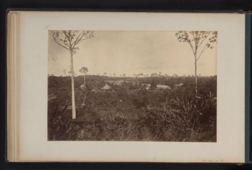 View of the Gambir Plantation, Sumatra