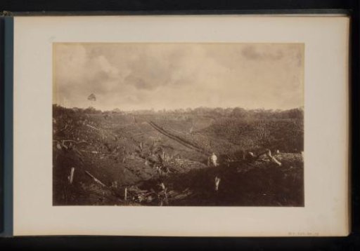 View of tobacco fields in Namoe Trassi, Sumatra