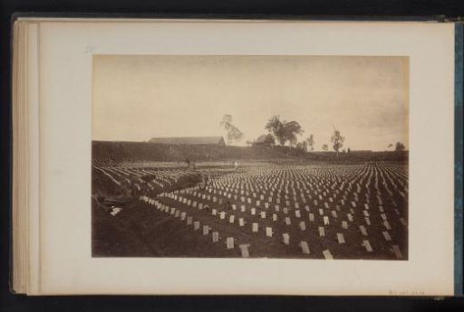 View of a field with young tobacco plants under protective boards in Quala Mintchirim, Sumatra