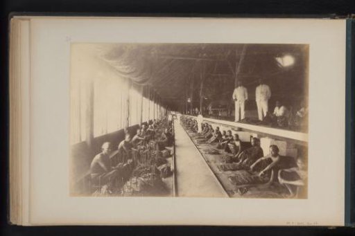 Contract laborers sorting tobacco in Soengei-Mentjirin, Sumatra
