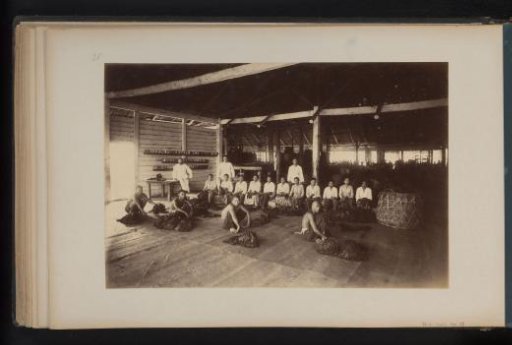 Contract laborers sorting tobacco at the Bekioen enterprise, Sumatra