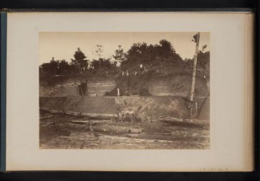 Workers working with an elephant on the Lau-Boentoe plantation, Sumatra