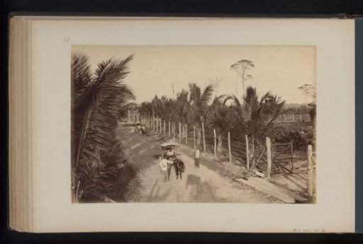 View of a street in Tandjong Poera, Sumatra