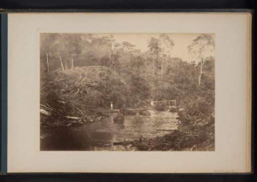 Bathing elephants with laborers in Lau Boentoe, Sumatra