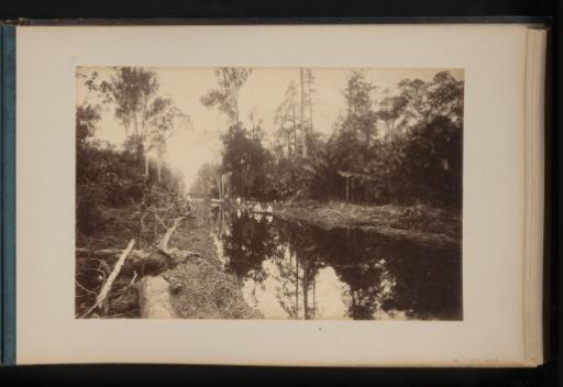 Canal in the jungle on the Stabat plantation, Sumatra