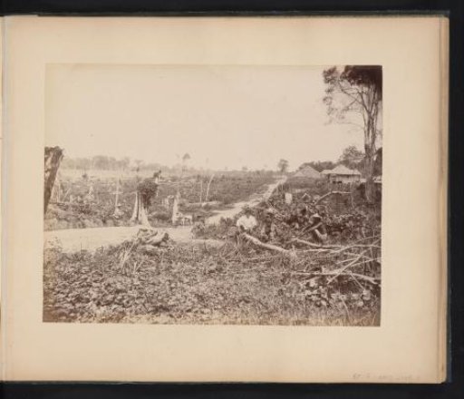 View of a plantation with felled trees and Javanese contract laborers, probably in Langkat, Sumatra