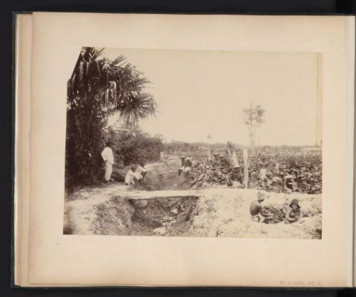 Coolies on a tobacco plantation, probably Langkat, Sumatra