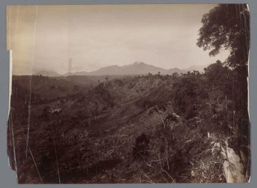 View of Mount Sinabourg in Upper Deli, Sumatra, with felled primeval forest in the foreground