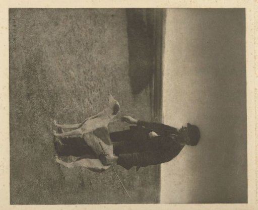 Poacher with hunting dog in Suffolk