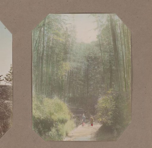 Two women on a path in a bamboo forest in Japan