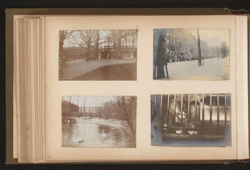 Four photographs of Artis Zoo
