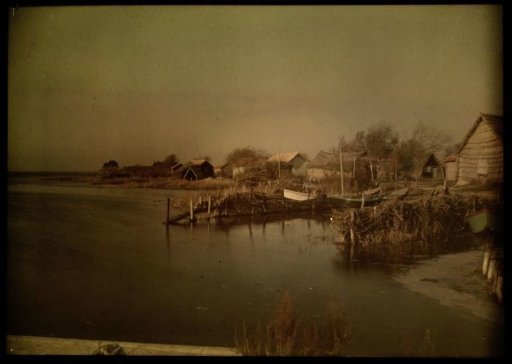 Reed landscape with water and farms or barns