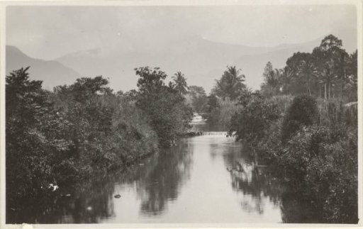 River landscape in the tropics