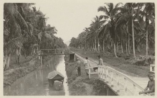 Water along a palm plantation in Indonesia