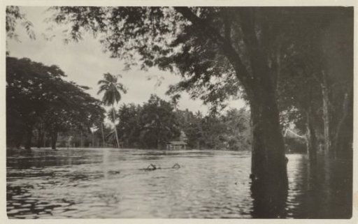 Submerged street in Singkawang