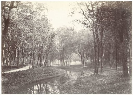 View in the Bois de Boulogne at Paris
