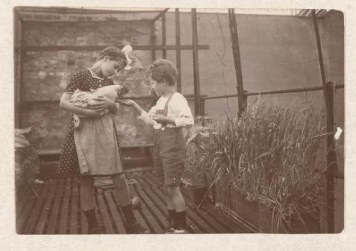 Marba and Eckart Titzenthaler, children of the photographer, with a rooster on the roof terrace of the residence on Friedrichstrasse, Berlin