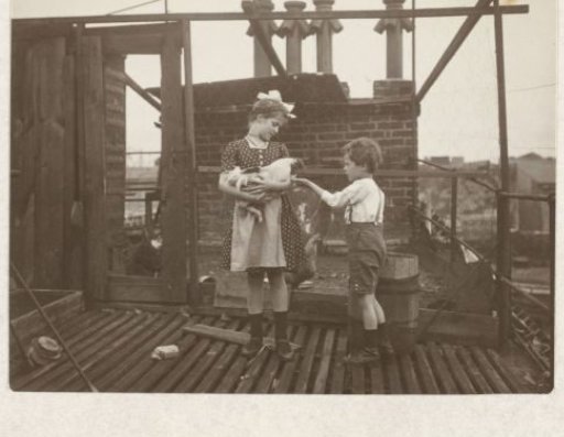 Marba and Eckart Titzenthaler, children of the photographer, with a rooster on the roof terrace of the residence on Friedrichstrasse, Berlin