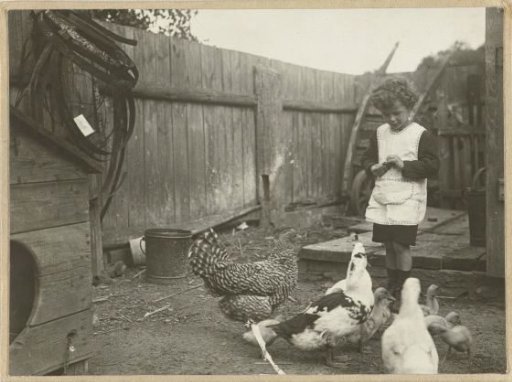 Eckart Titzenthaler, son of the photographer, standing on a farmyard with chickens and ducks