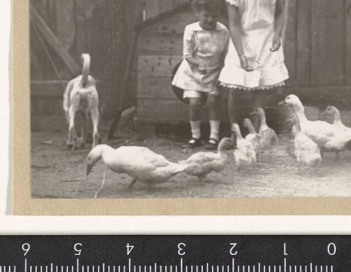 Marba and Eckart Titzenthaler, children of the photographer, on a farmyard with chickens and ducks