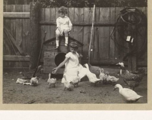 Marba and Eckart Titzenthaler, children of the photographer, on a farmyard with chickens and ducks