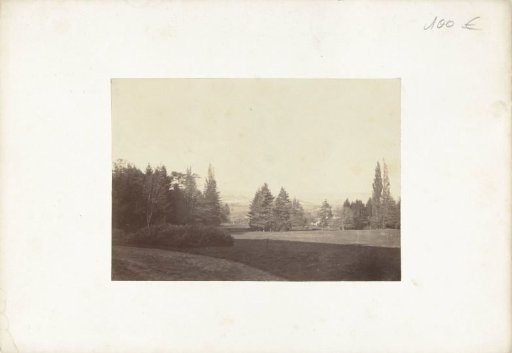 View of a landscape with trees, France