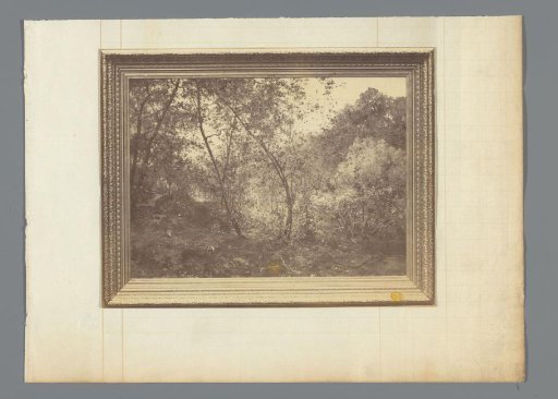 Photographic Reproduction of a Framed Painting with a Forest Landscape