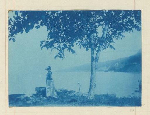 Woman standing next to a tree, looking out over water