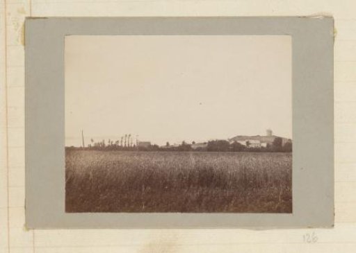 Wheat field with a village and windmill in the background
