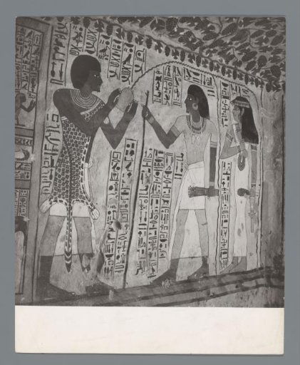 Interior of the tomb of Sennefer with hieroglyphs and grapevines