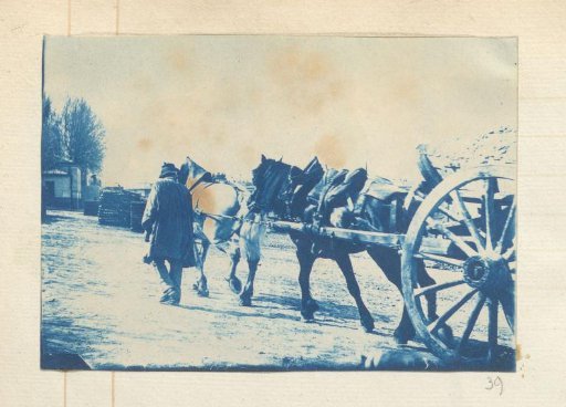 Man walking alongside a cart with two horses