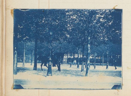 Horseman in a park
