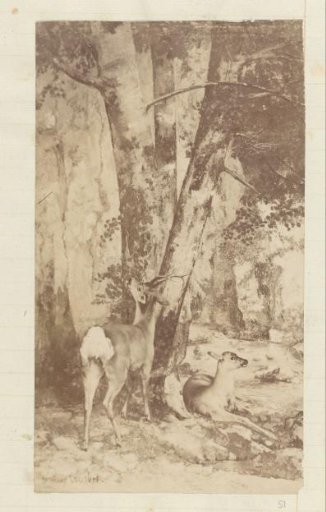 Photographic reproduction (presumably) of an engraving after a detail of a painting by Gustave Courbet depicting deer in a forest