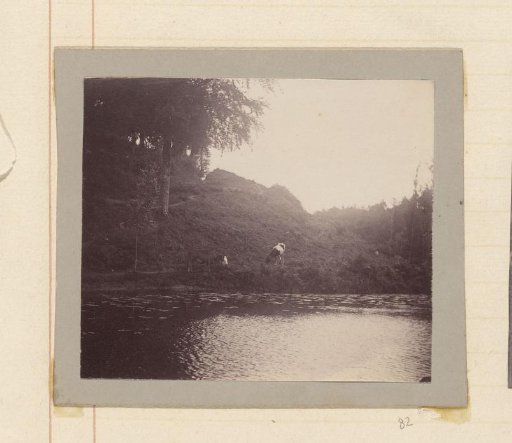Cows at the edge of a body of water in a hilly landscape