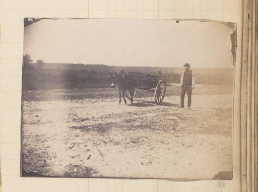 Donkey cart and a walking man on a field path