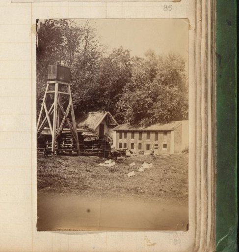 Farmyard with poultry, coop and water reservoir