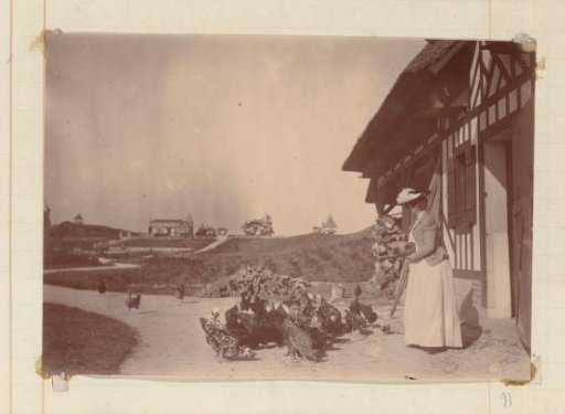 Woman leading chickens on a farmyard, with villas in the background